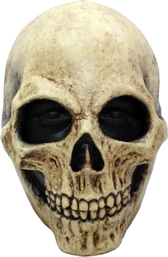 Skull PNG    图片编号:42545