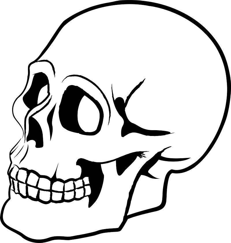 Skull PNG    图片编号:42547