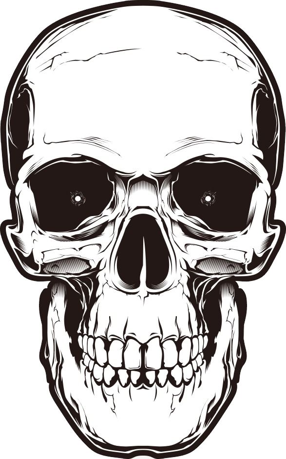 Skull PNG    图片编号:42531