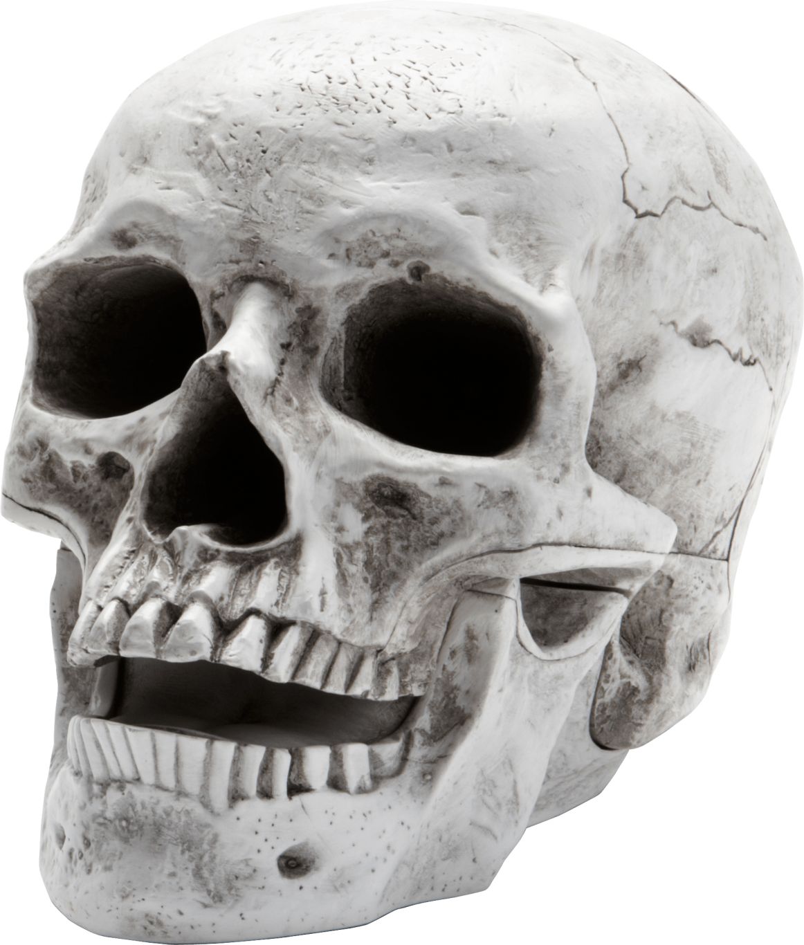 Skull PNG    图片编号:42553