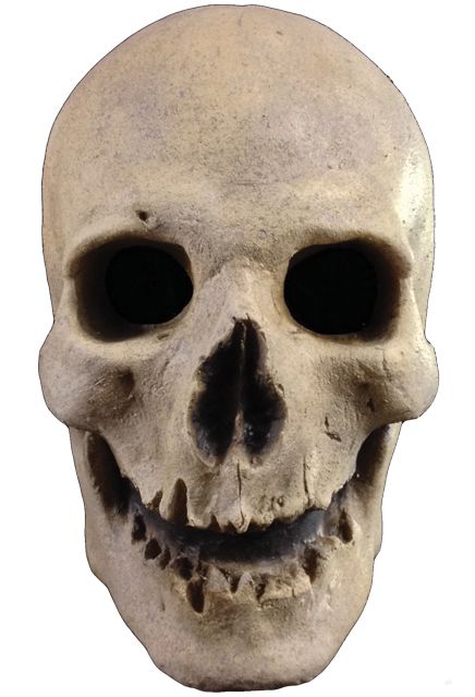 Skull PNG    图片编号:42559