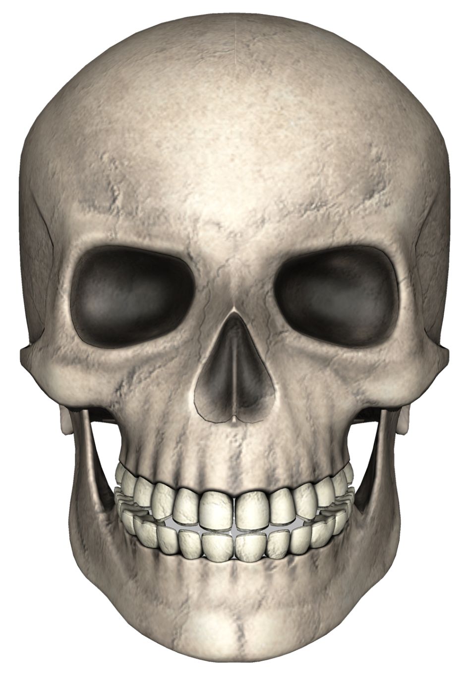 Skull PNG    图片编号:42578