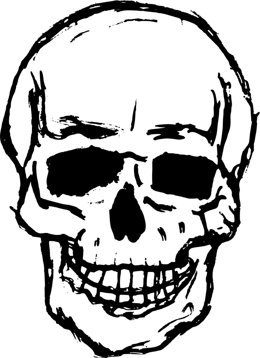 Skull    图片编号:42593