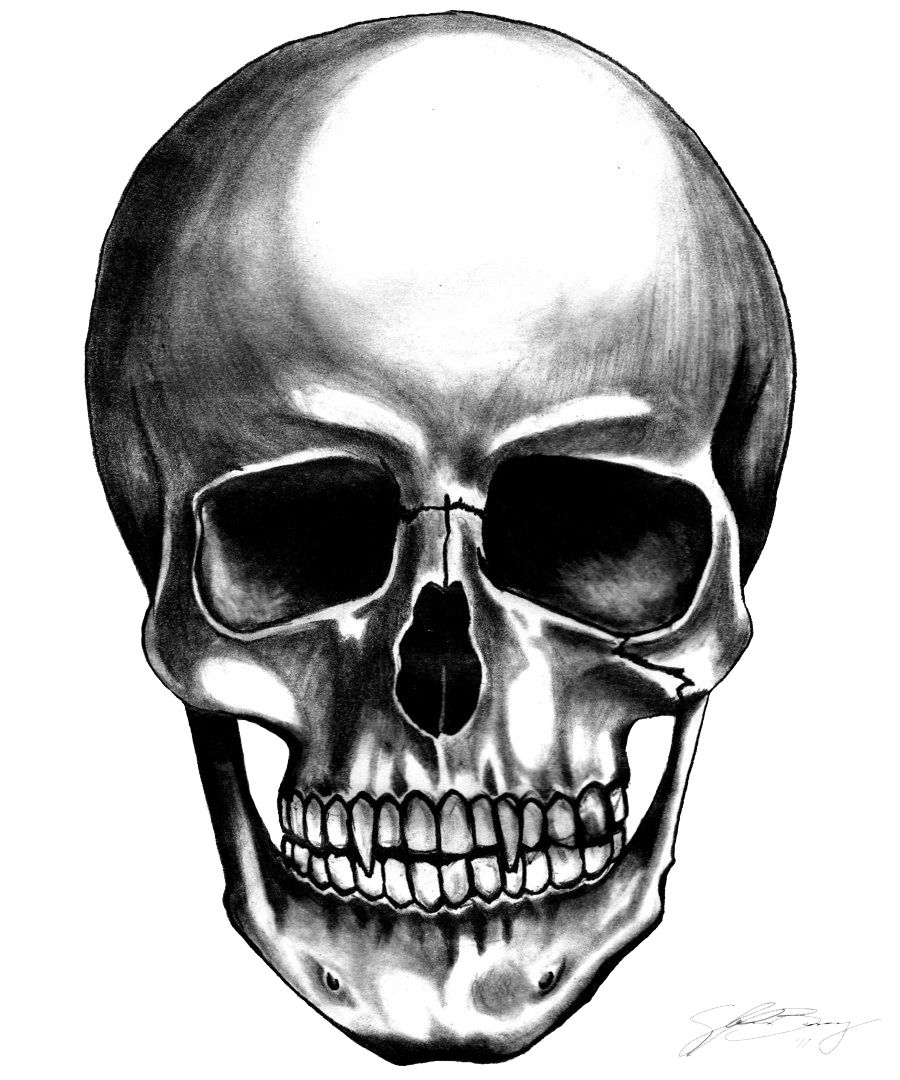 Skull PNG    图片编号:42599