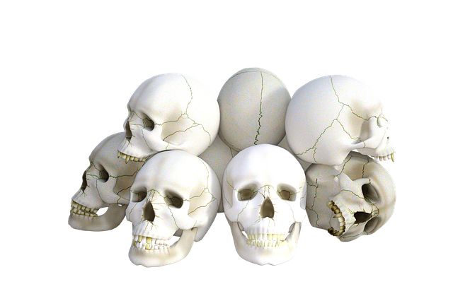 Skulls PNG    图片编号:42606