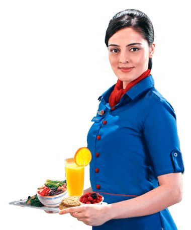 Stewardess PNG    图片编号:65912