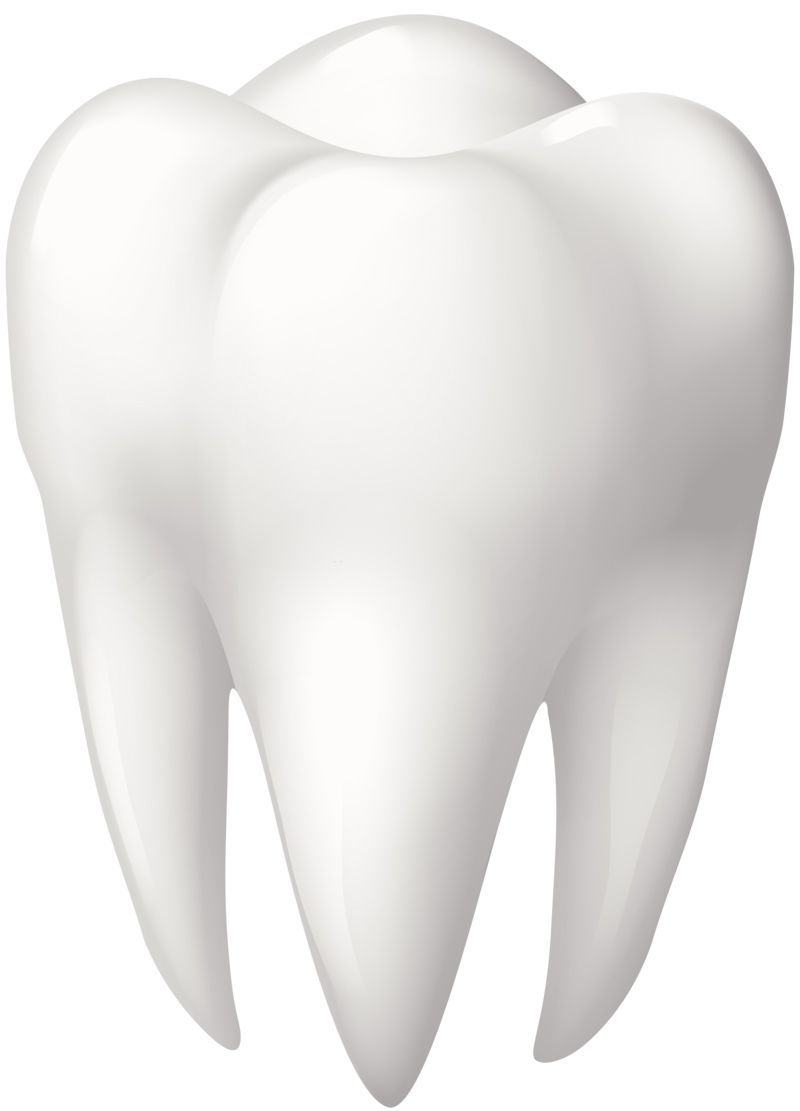 tooth png    图片编号:103540