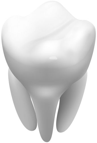 tooth png    图片编号:103544