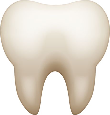 tooth png    图片编号:103545