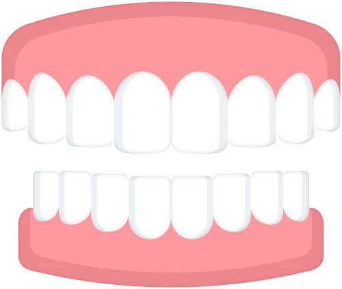 teeth png    图片编号:103551