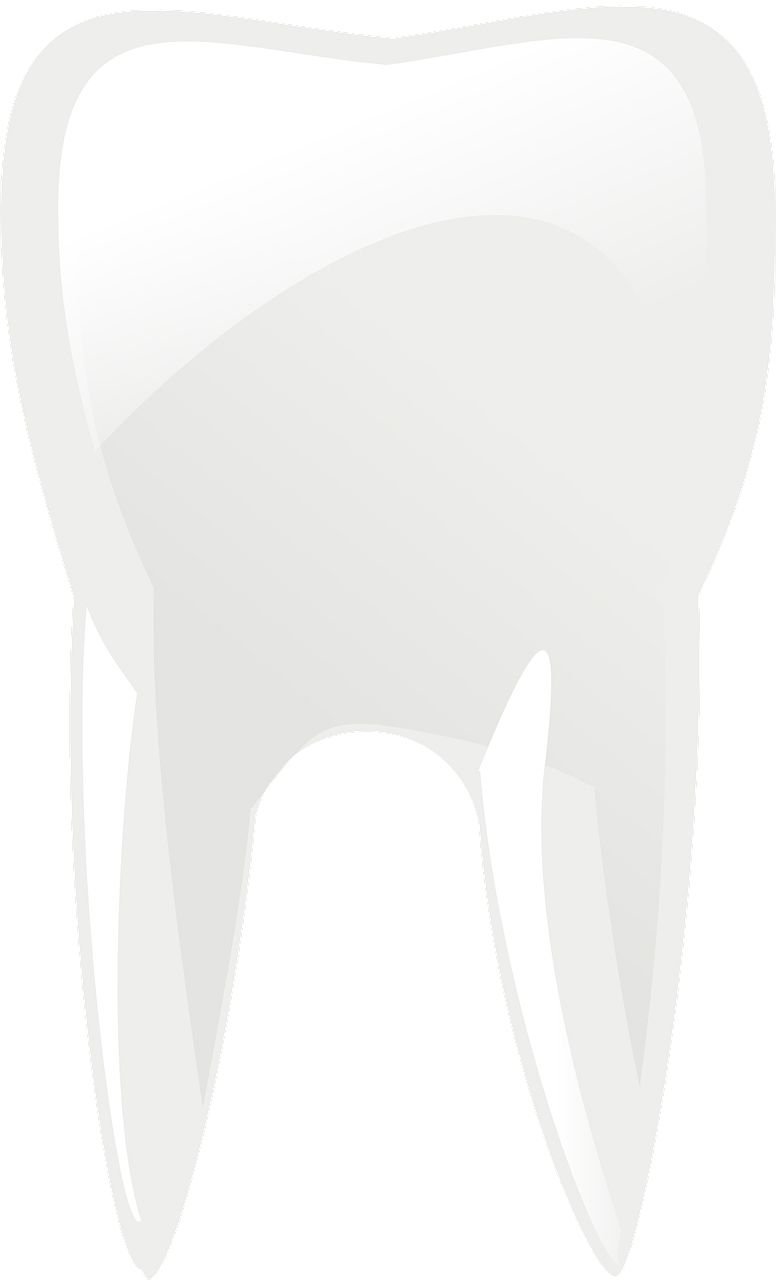 tooth png    图片编号:103555