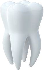 Tooth PNG image    图片编号:7325