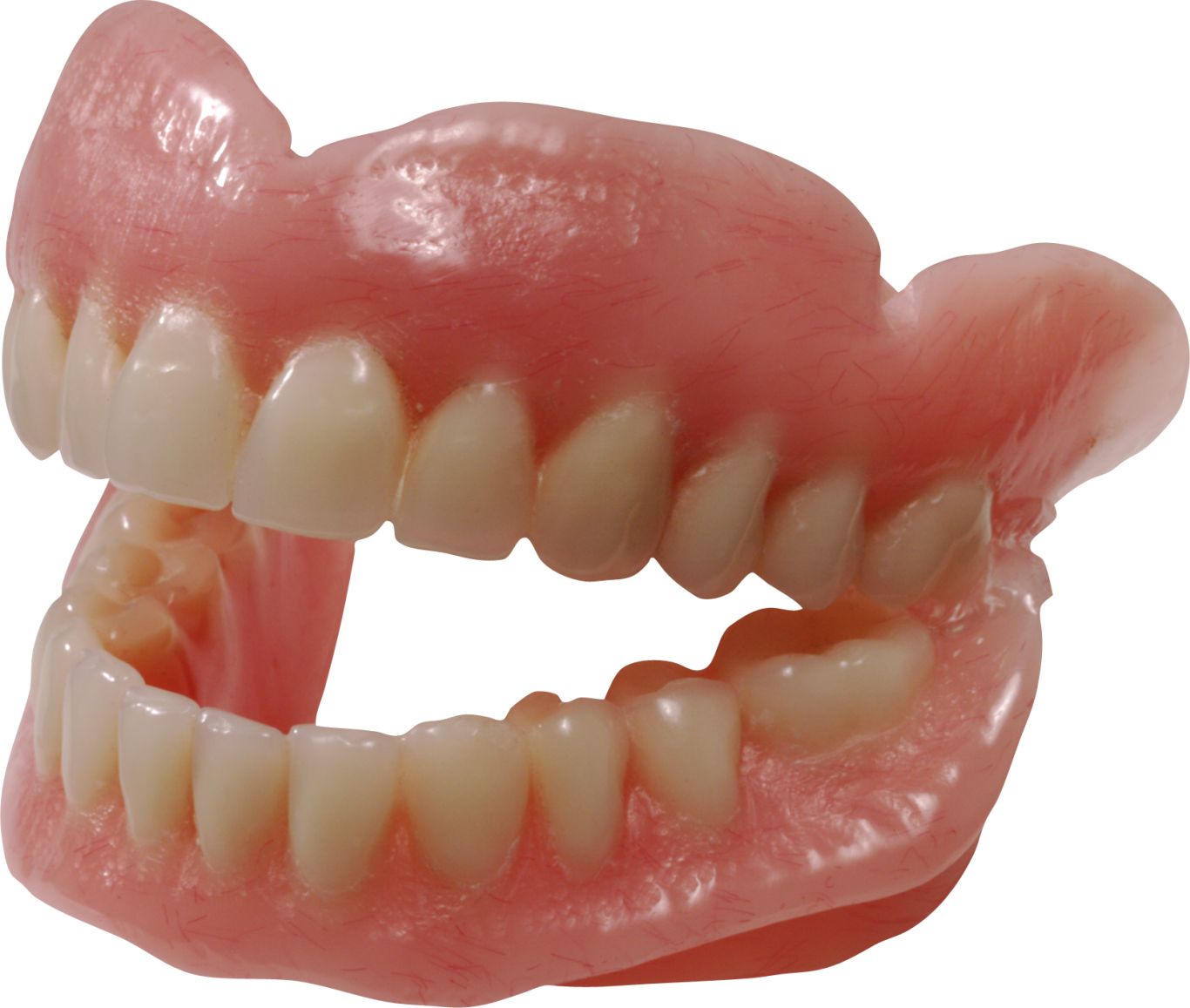 Teeth PNG image    图片编号:7327