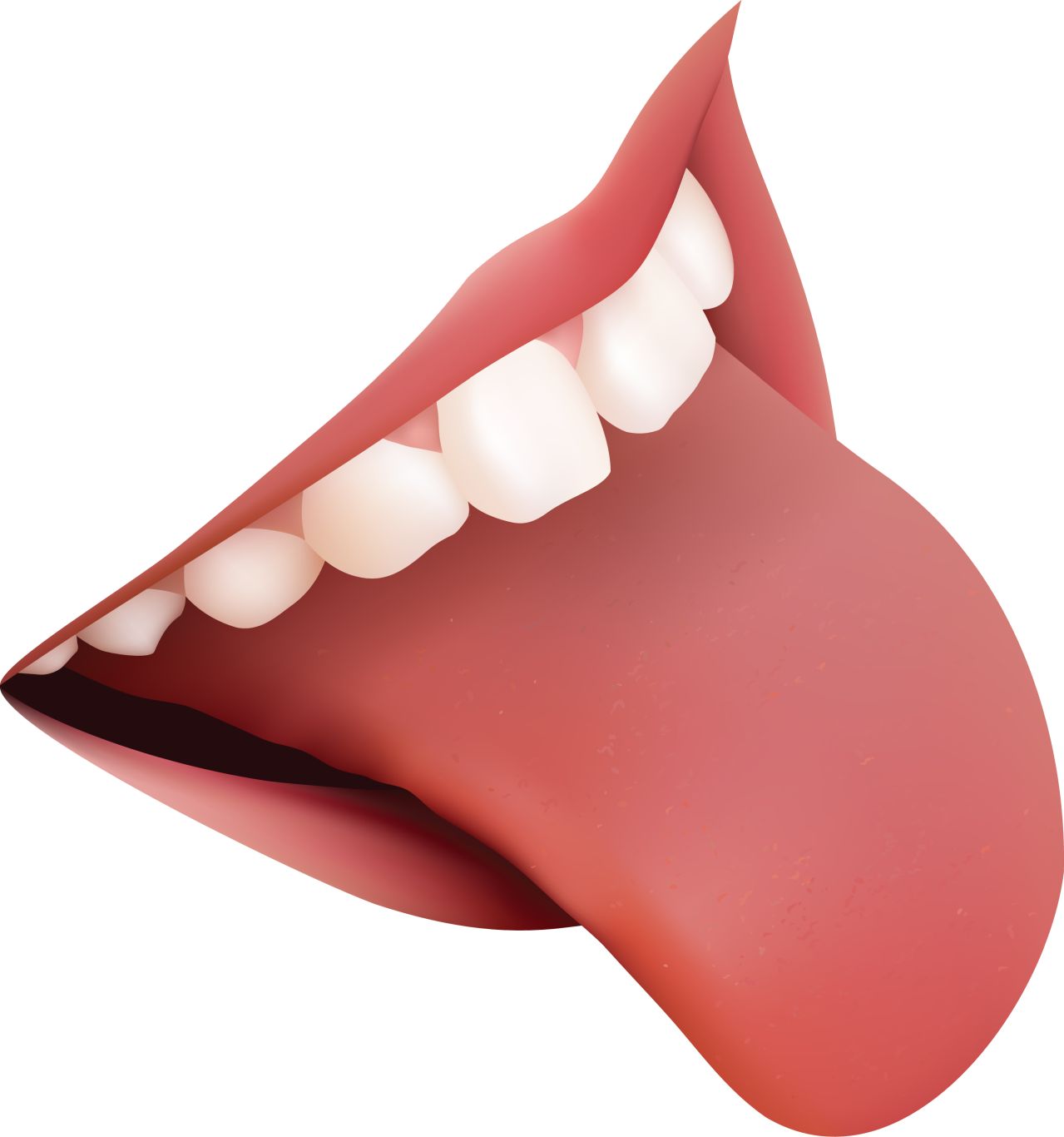 Teeth PNG image    图片编号:7332