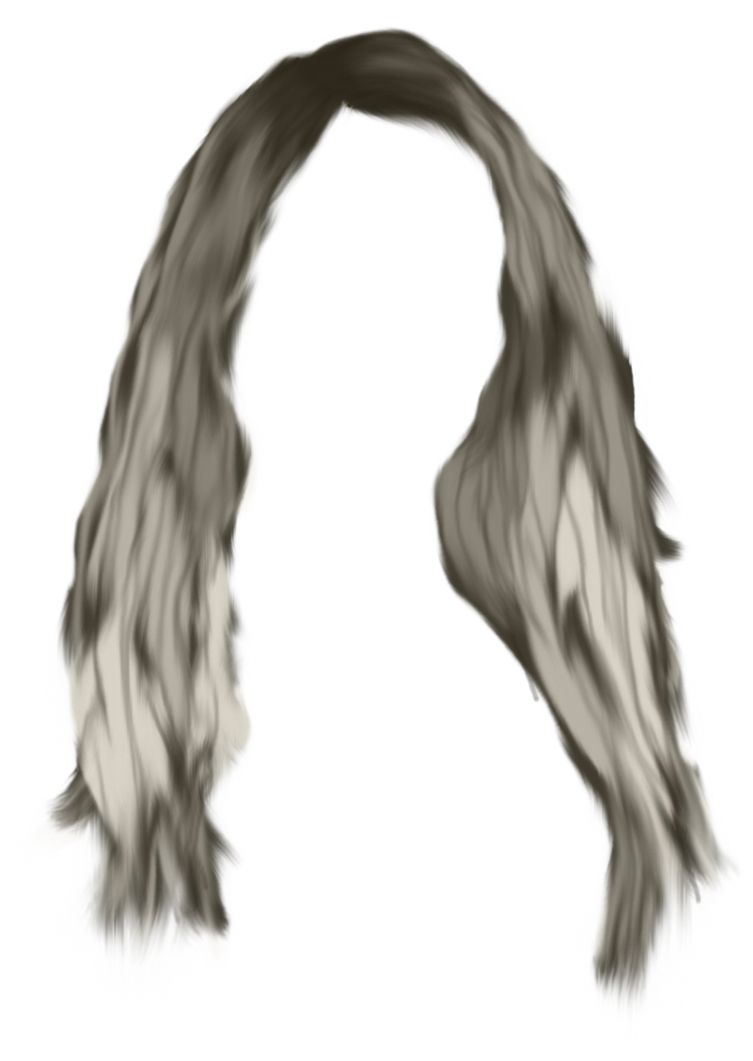Hair wig PNG    图片编号:78220