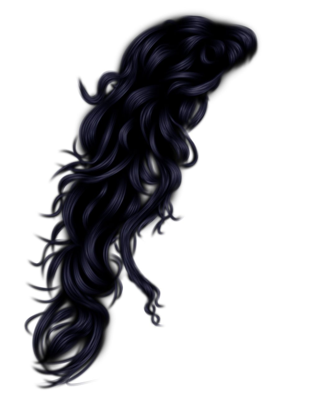 Hair wig PNG    图片编号:78225