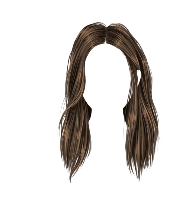 Hair wig PNG    图片编号:78227