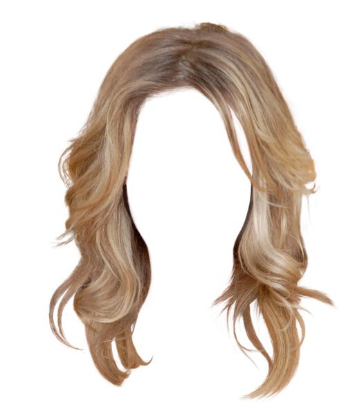 Hair wig PNG    图片编号:78235