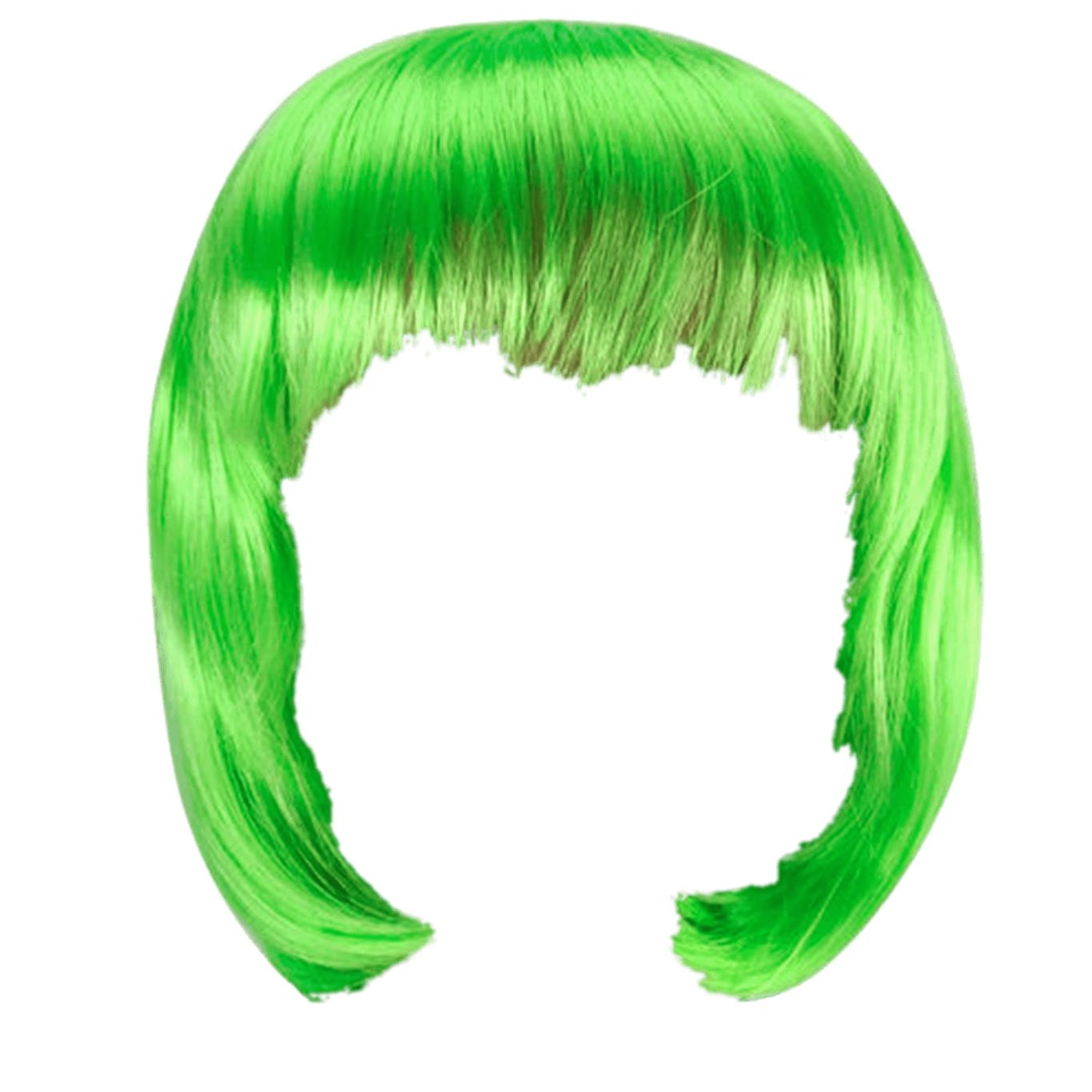 Hair wig PNG    图片编号:78239