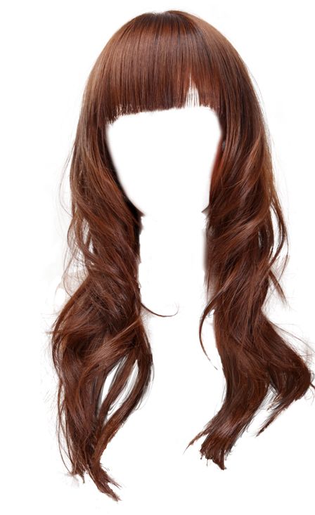 Hair wig PNG    图片编号:78240