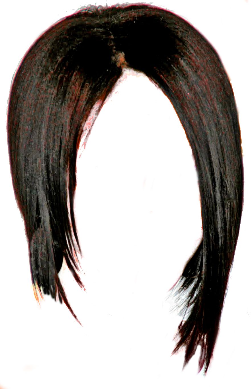 Hair wig PNG    图片编号:78242