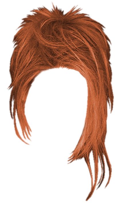 Hair wig PNG    图片编号:78251