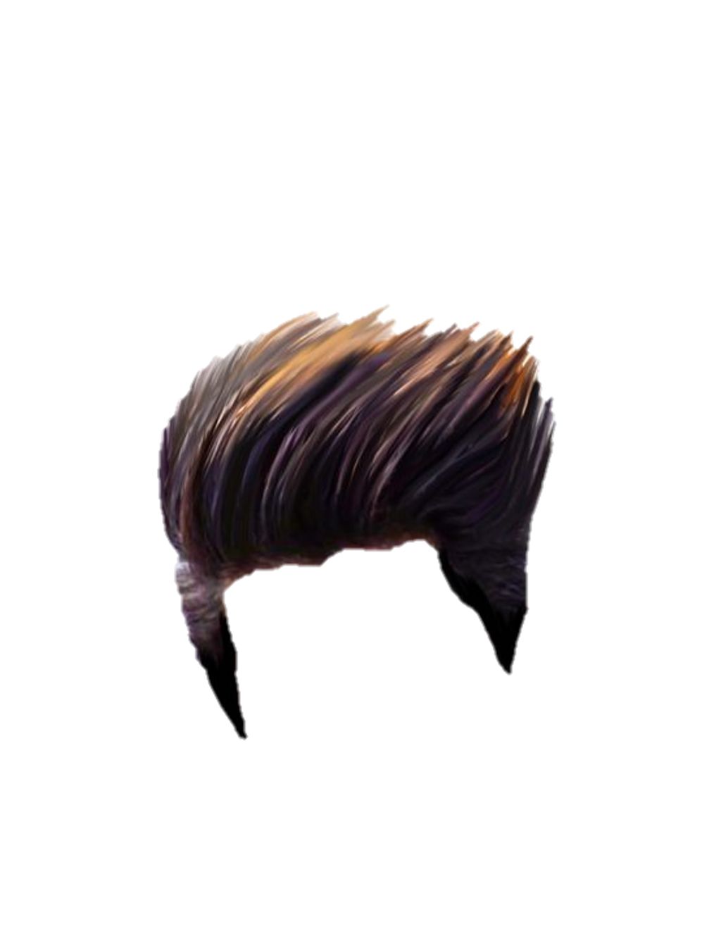 Hair wig PNG    图片编号:78259