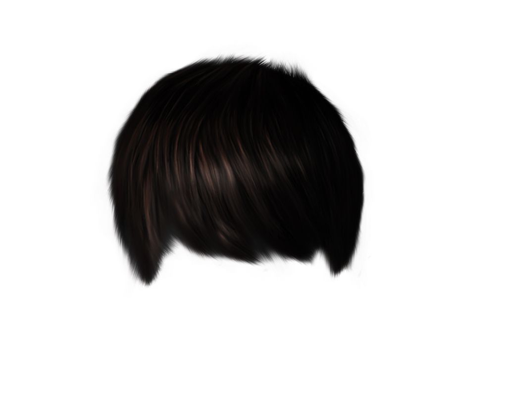 Hair wig PNG    图片编号:78263