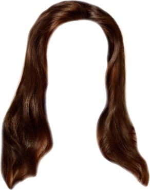 Hair wig PNG    图片编号:78265