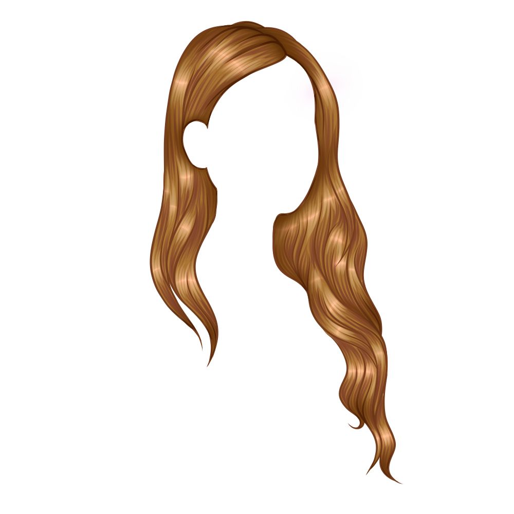Hair wig PNG    图片编号:78133