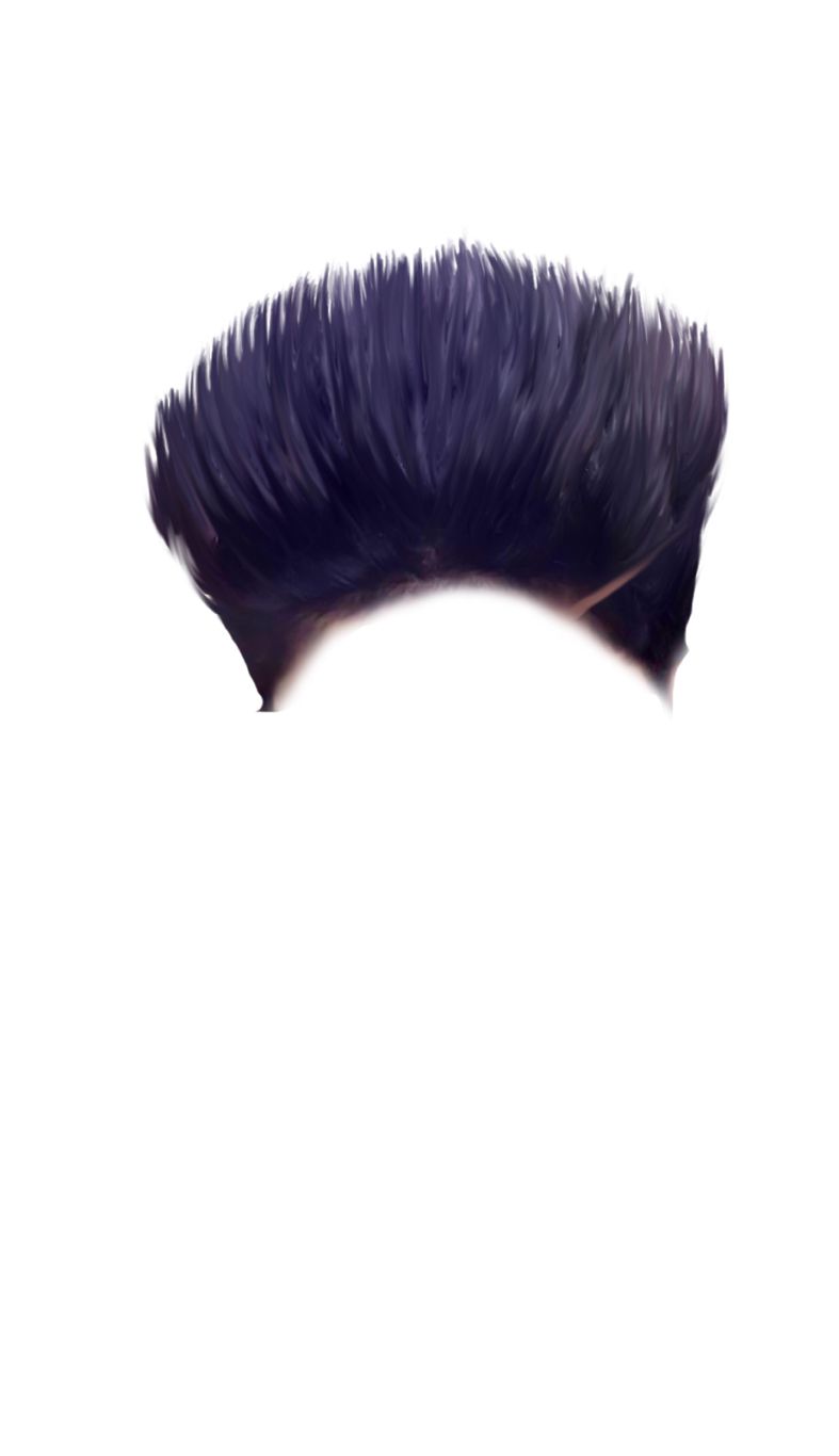 Hair wig PNG    图片编号:78270