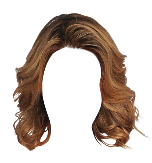 Hair wig PNG    图片编号:78271