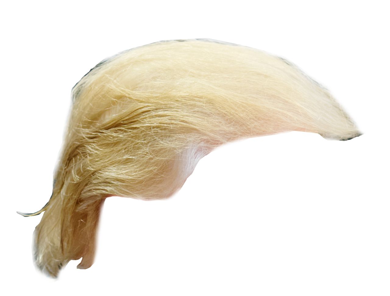 Hair wig PNG    图片编号:78272