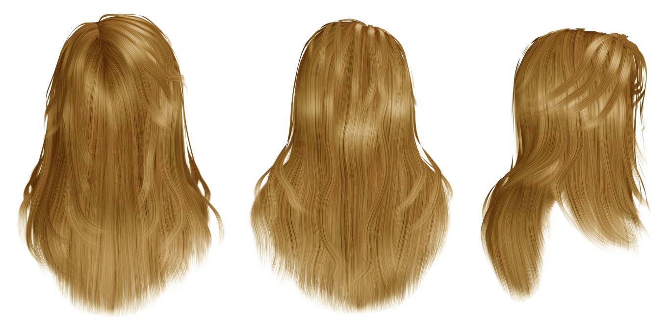 Hair wig PNG    图片编号:78287