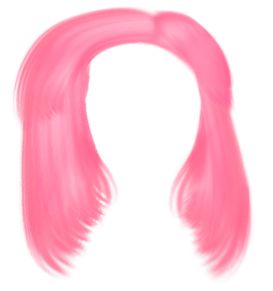Hair wig PNG    图片编号:78138