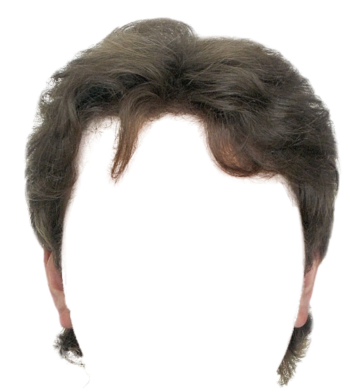 Hair wig PNG    图片编号:78146