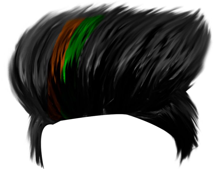 Hair wig PNG    图片编号:78147