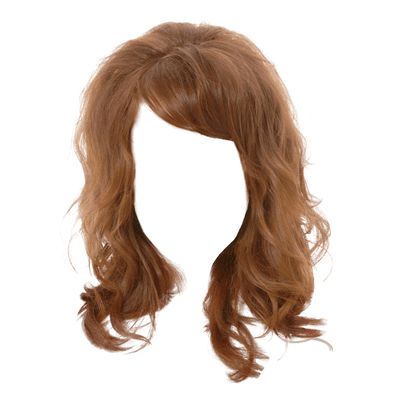 Hair wig PNG    图片编号:78159