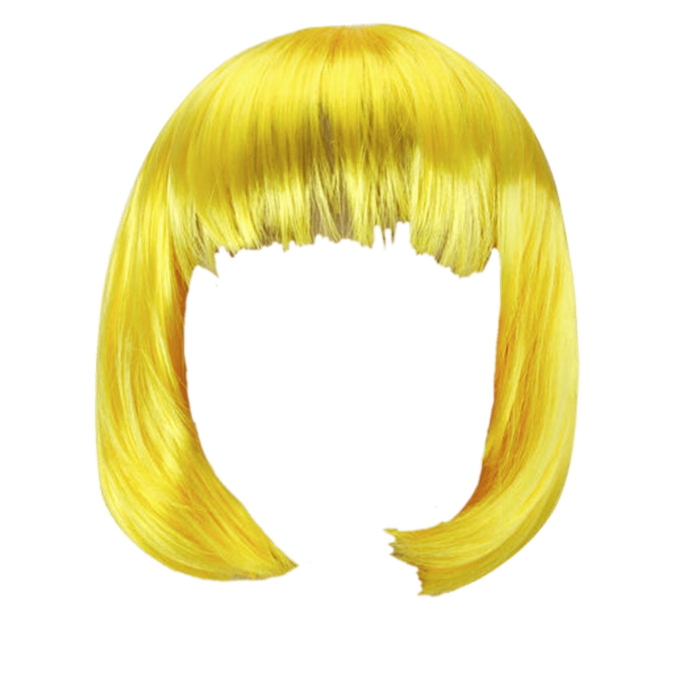 Hair wig PNG    图片编号:78160