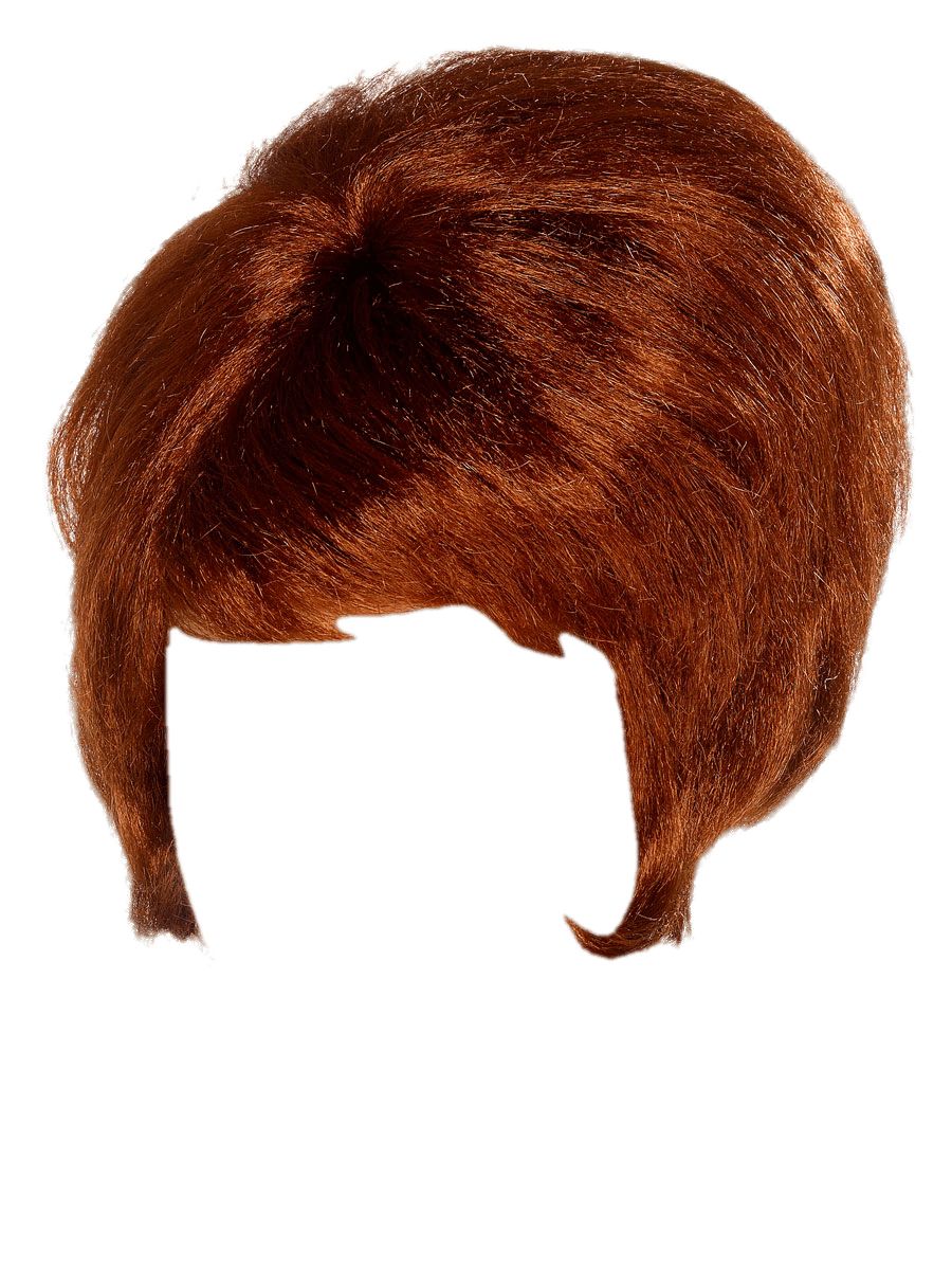 Hair wig PNG    图片编号:78166