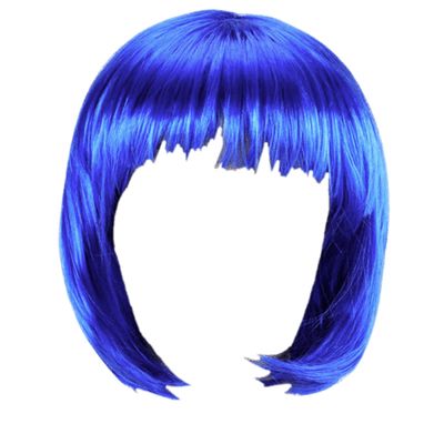 Hair wig PNG    图片编号:78168