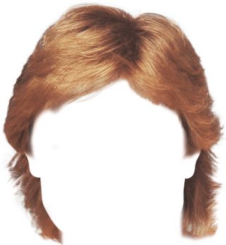 Hair wig PNG    图片编号:78169