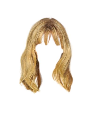 Hair wig PNG    图片编号:78176