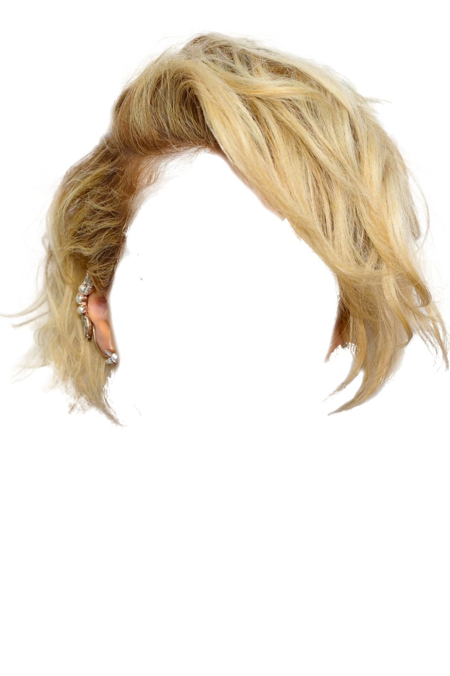 Hair wig PNG    图片编号:78177