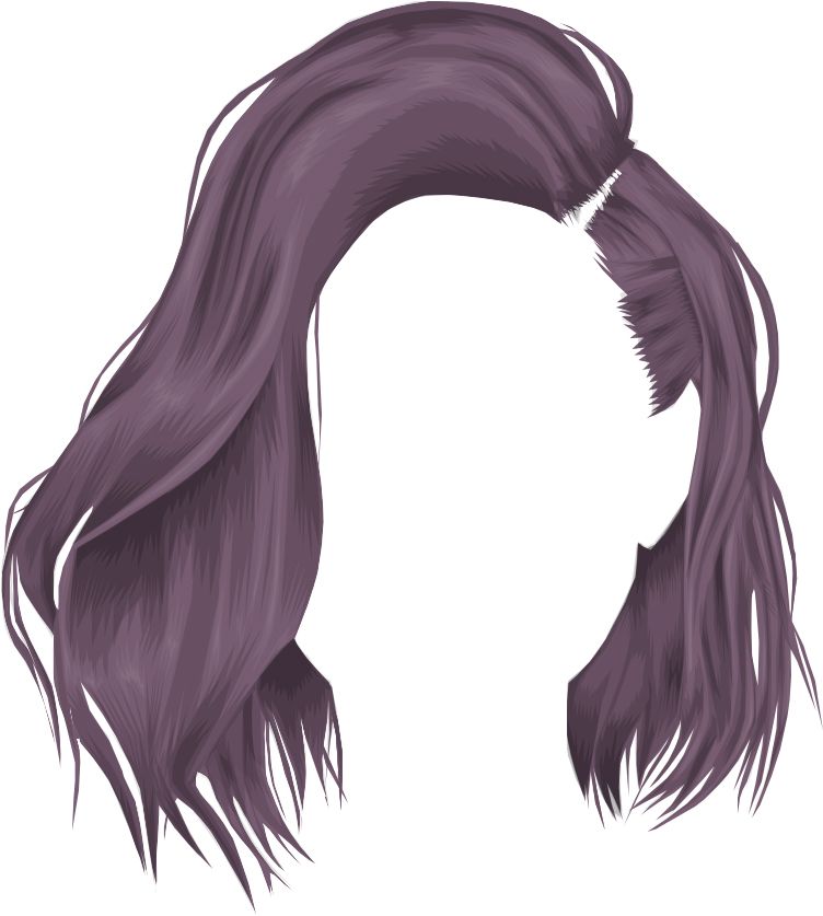 Hair wig PNG    图片编号:78188