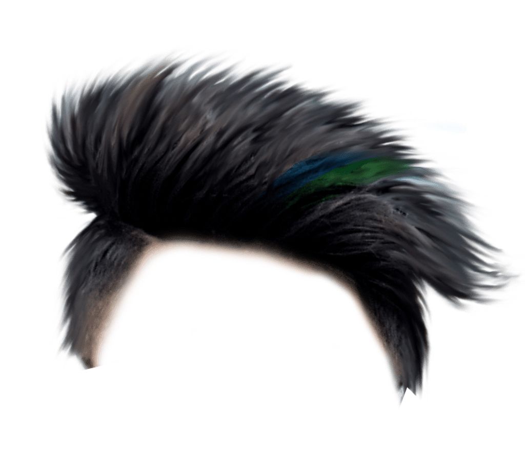 Hair wig PNG    图片编号:78200
