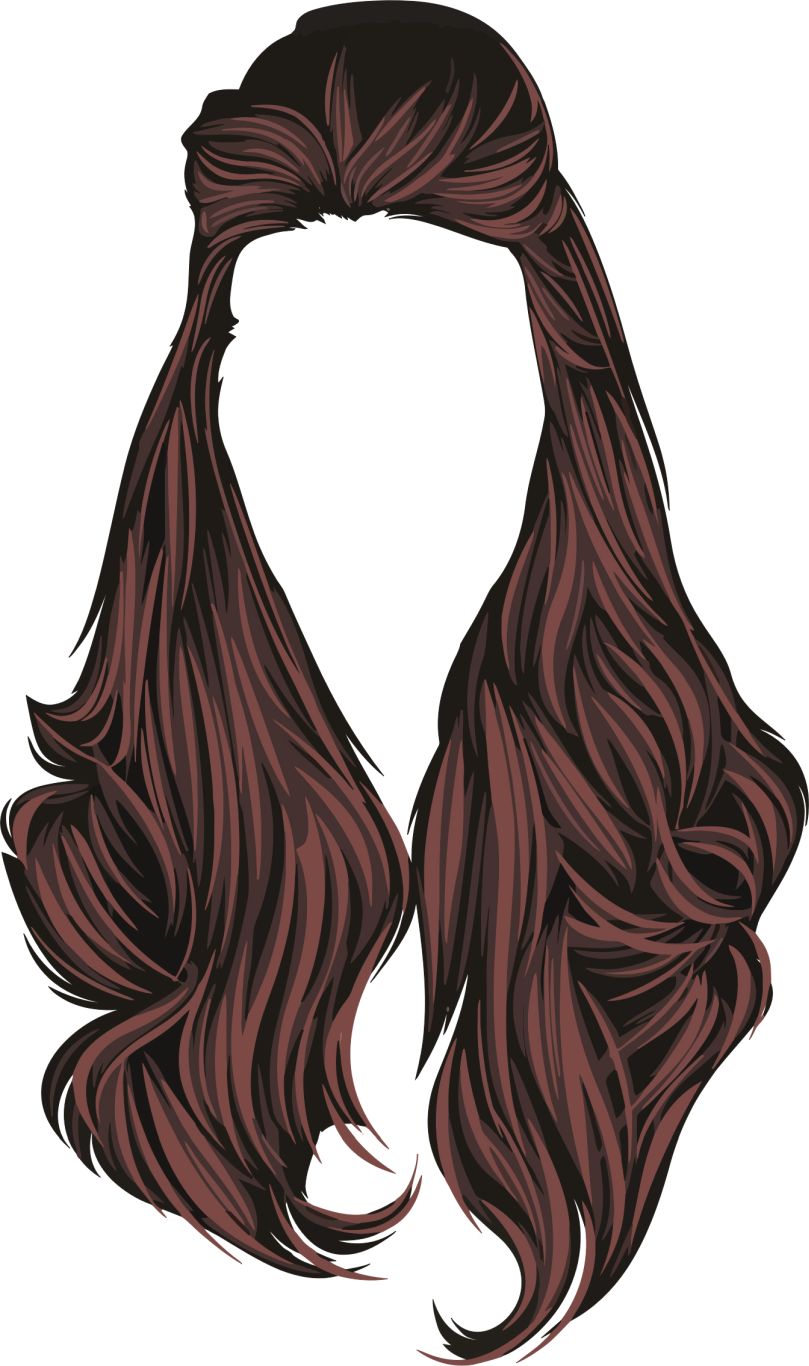 Hair wig PNG    图片编号:78204