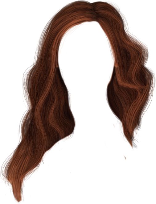 Hair wig PNG    图片编号:78205