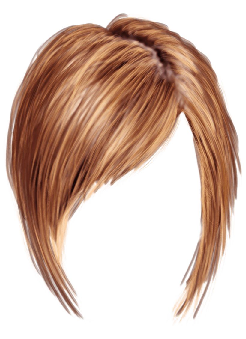 Hair wig PNG    图片编号:78213