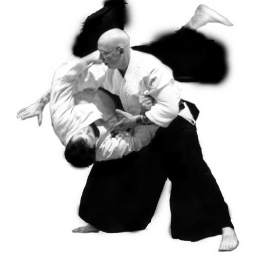 Aikido PNG    图片编号:70011